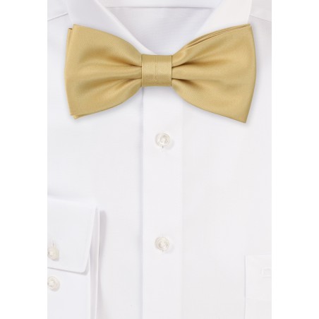 Satin Bow Tie in Golden Color