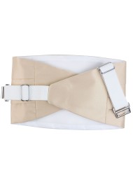 Champagne Cummerbund Back
