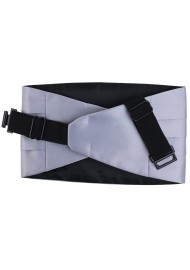 Silver Dress Cummerbund Back