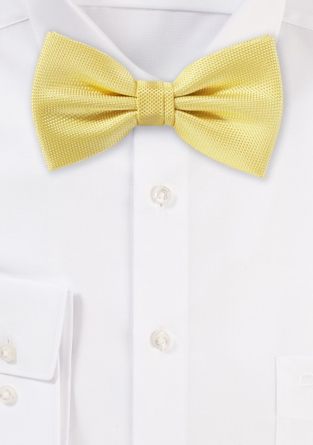 Sun Yellow Matte Texture Bow Tie