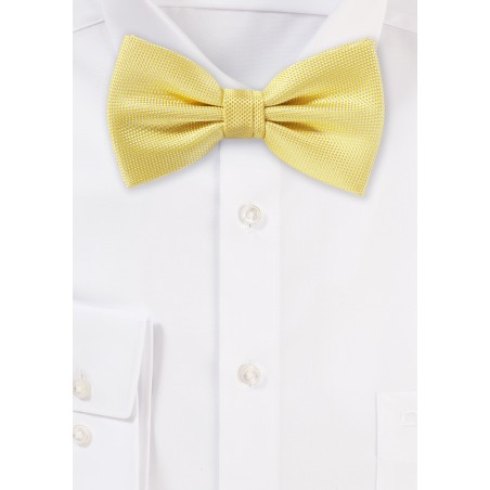 Sun Yellow Matte Texture Bow Tie