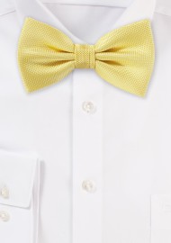 Sun Yellow Matte Texture Bow Tie