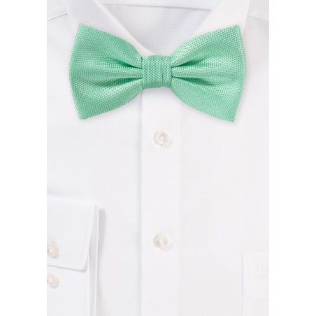 Summer Bow Tie in Mint