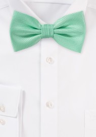 Summer Bow Tie in Mint