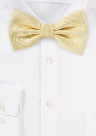 Pastel Yellow Textured Bow Tie