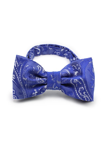 Morning Glory Paisley Bow Tie