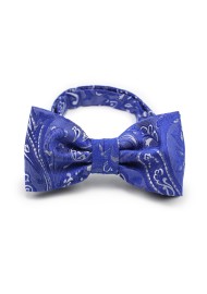 Morning Glory Paisley Bow Tie