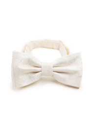 Formal Paisley Bow Tie in Ivory