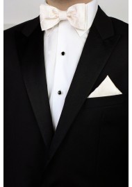 Formal Paisley Bow Tie Set in Ivory Styled