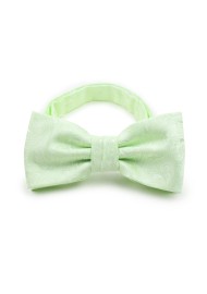 Wedding Bow Tie in Seafoam Green