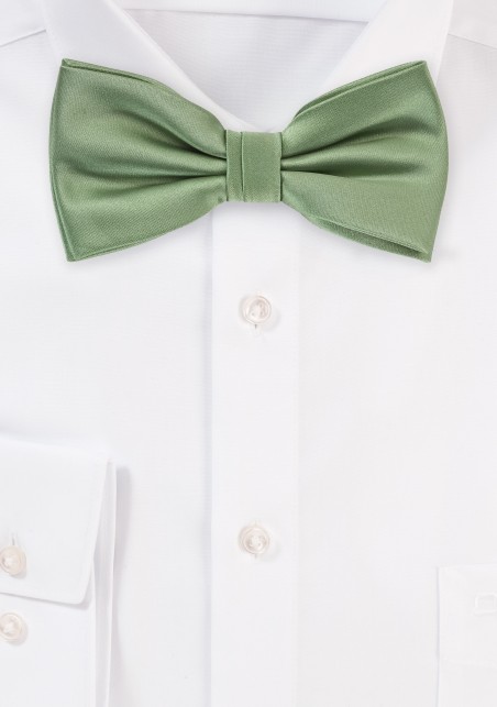 Sage Colored Bow Tie