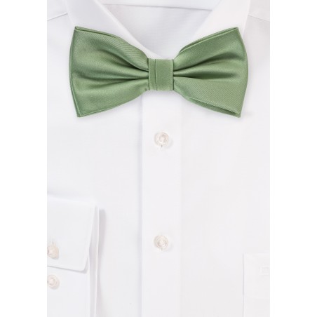 Sage Colored Bow Tie