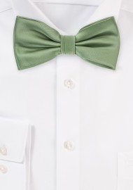 Sage Colored Bow Tie