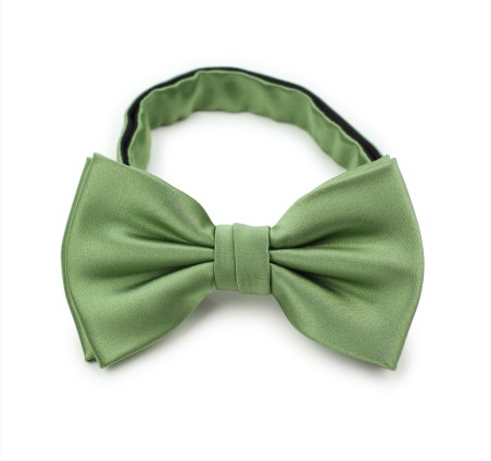 Sage Colored Bow Tie