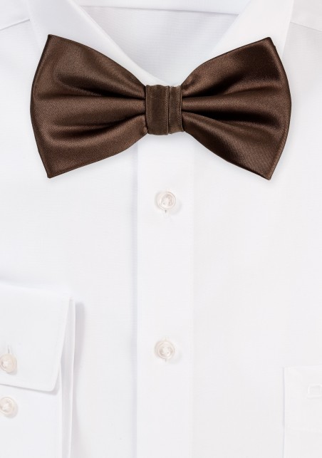 Coffee Brown Men's Bow Tie