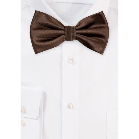 Coffee Brown Men's Bow Tie
