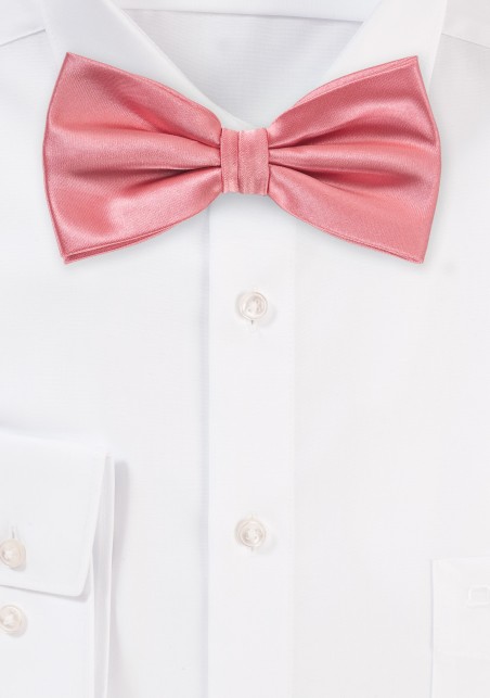 Tupip Color Bow Tie