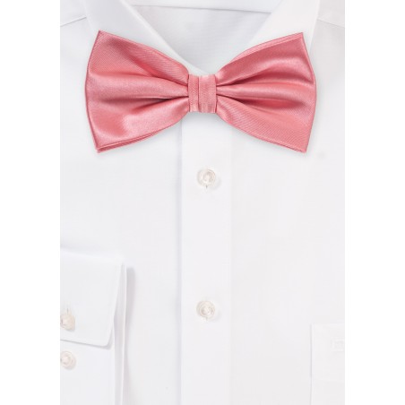 Tupip Color Bow Tie