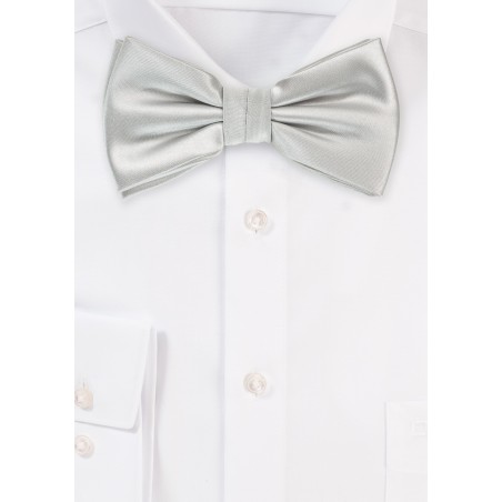 Light Platinum Silver Bow Tie