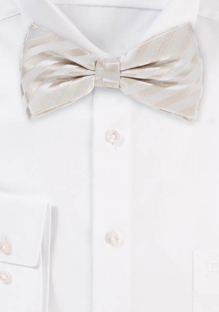 Formal Ivory Bow Tie in Pre Tied Style