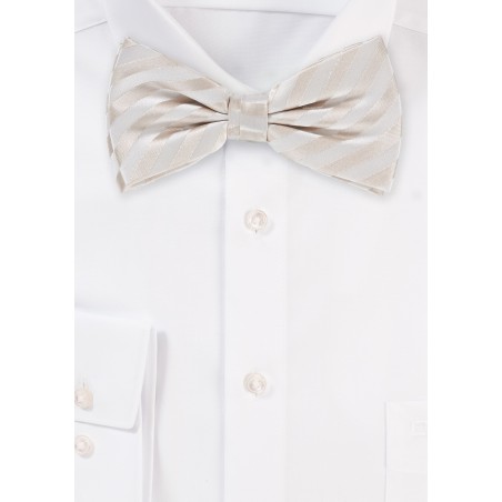Formal Ivory Bow Tie in Pre Tied Style