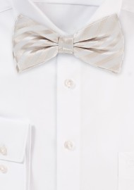 Formal Ivory Bow Tie in Pre Tied Style
