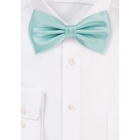 Glacier Blue Bow Tie