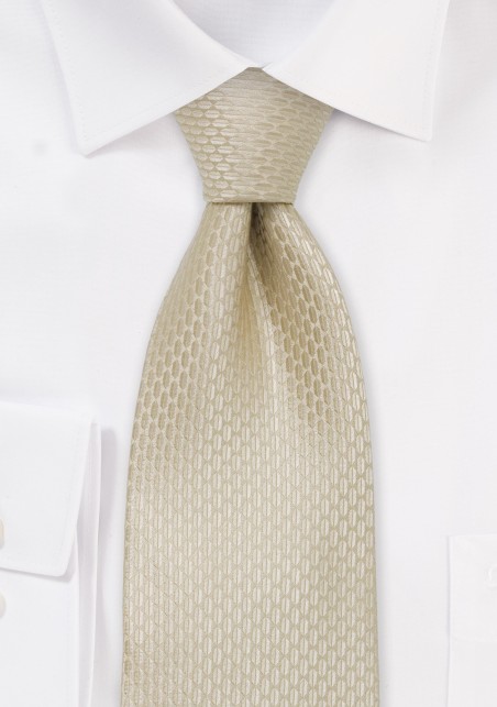 Champagne Silk Tie for Kids