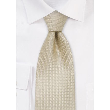 Champagne Silk Tie for Kids