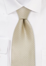 Champagne Silk Tie for Kids