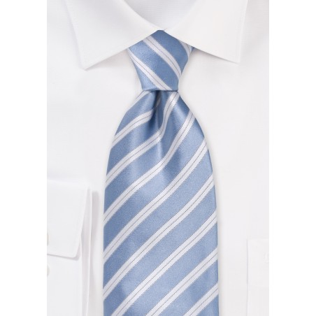 Hydrangea Blue Striped Tie
