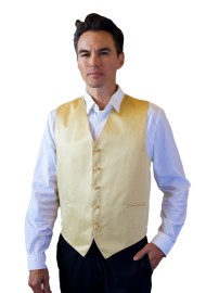 Golden Formal Satin Vest Styled