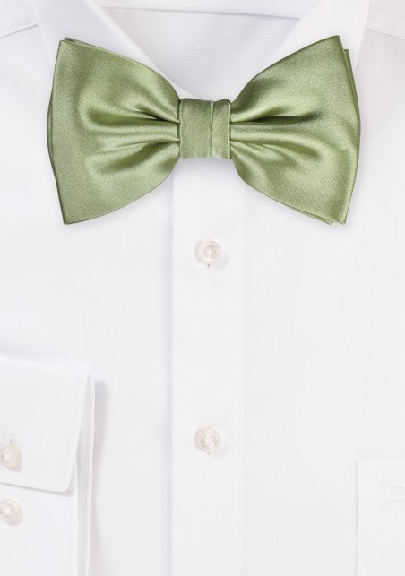 Tea Green Mens Bow Tie