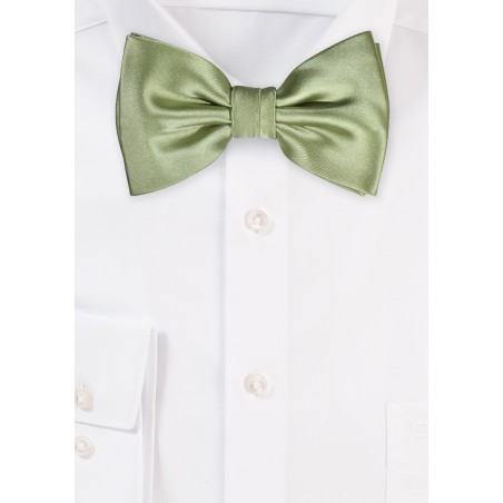 Tea Green Mens Bow Tie