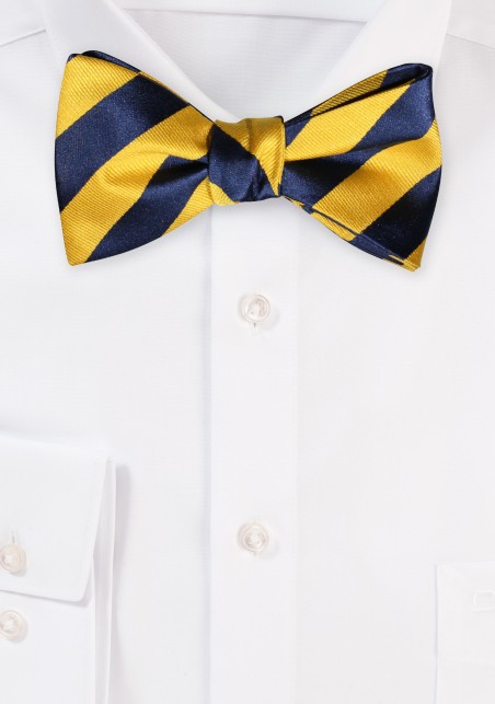 Striped Bow Tie in Yellow and Blue