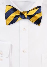 Striped Bow Tie in Yellow and Blue