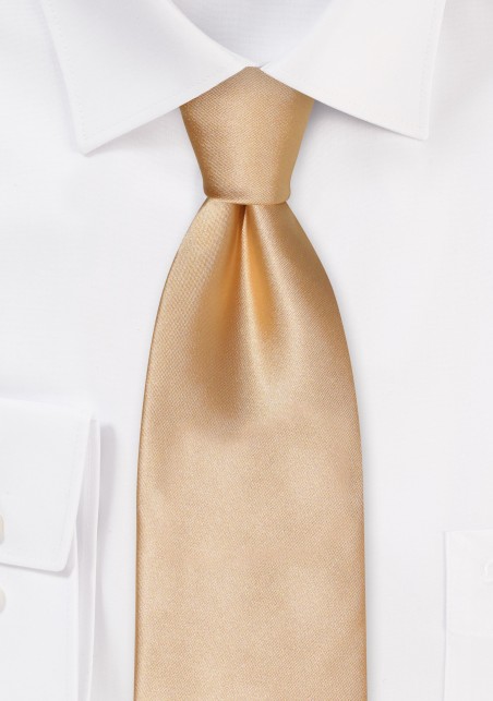 Solid Champagne Color Tie