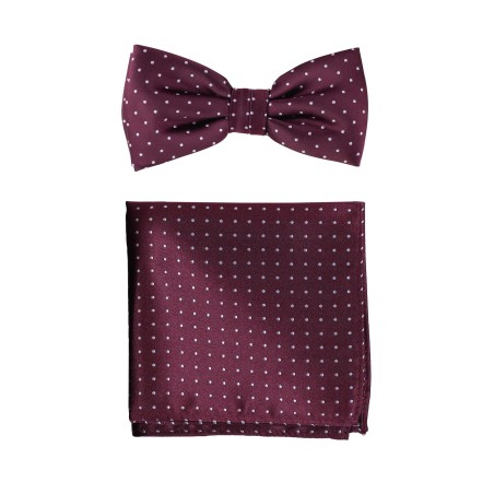 Micro Polka Dot Bow Tie Set in Burgundy