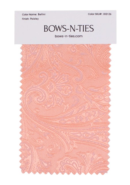 Paisley Fabric Swatch - Bellini