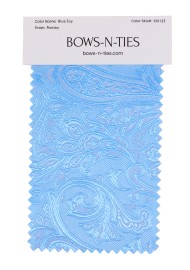 Paisley Fabric Swatch - Blue Jay