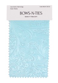 Paisley Fabric Swatch - Robins Egg