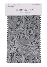 Paisley Fabric Swatch - Mercury Silver