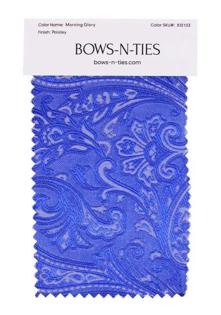 Paisley Fabric Swatch - Morning Glory
