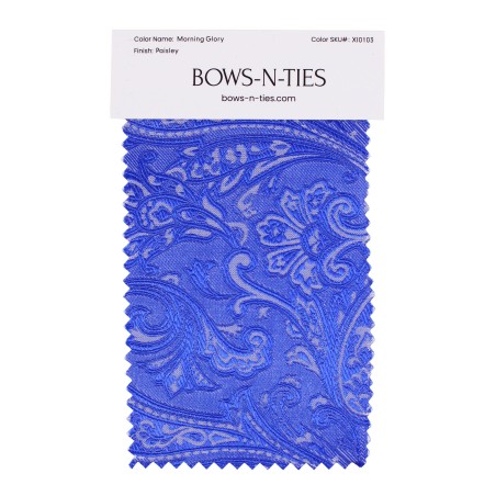 Paisley Fabric Swatch - Morning Glory