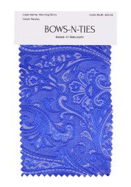 Paisley Fabric Swatch - Morning Glory