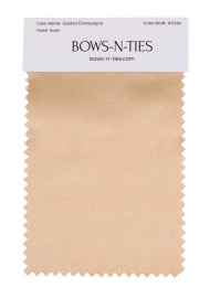 Satin Fabric Swatch - Golden Champagne