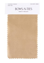 Satin Fabric Swatch - Oatmeal