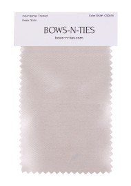 Satin Fabric Swatch - Frosted