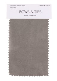 Satin Fabric Swatch - Mercury Silver