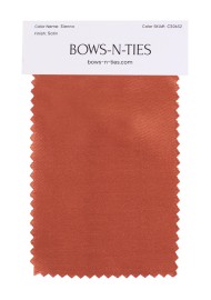 Satin Fabric Swatch - Sienna